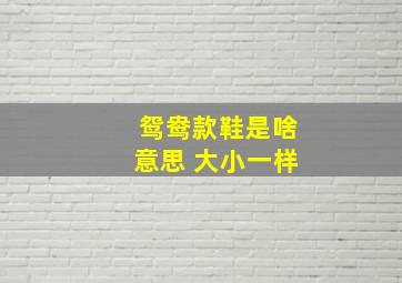 鸳鸯款鞋是啥意思 大小一样